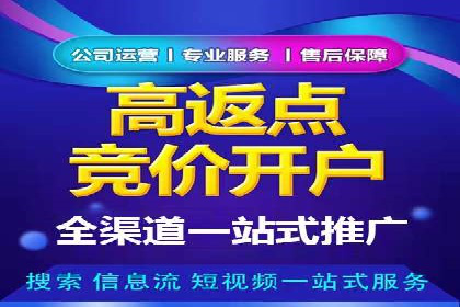 百度推广运营案例解析：从零开始到精通